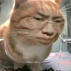 反方向的7