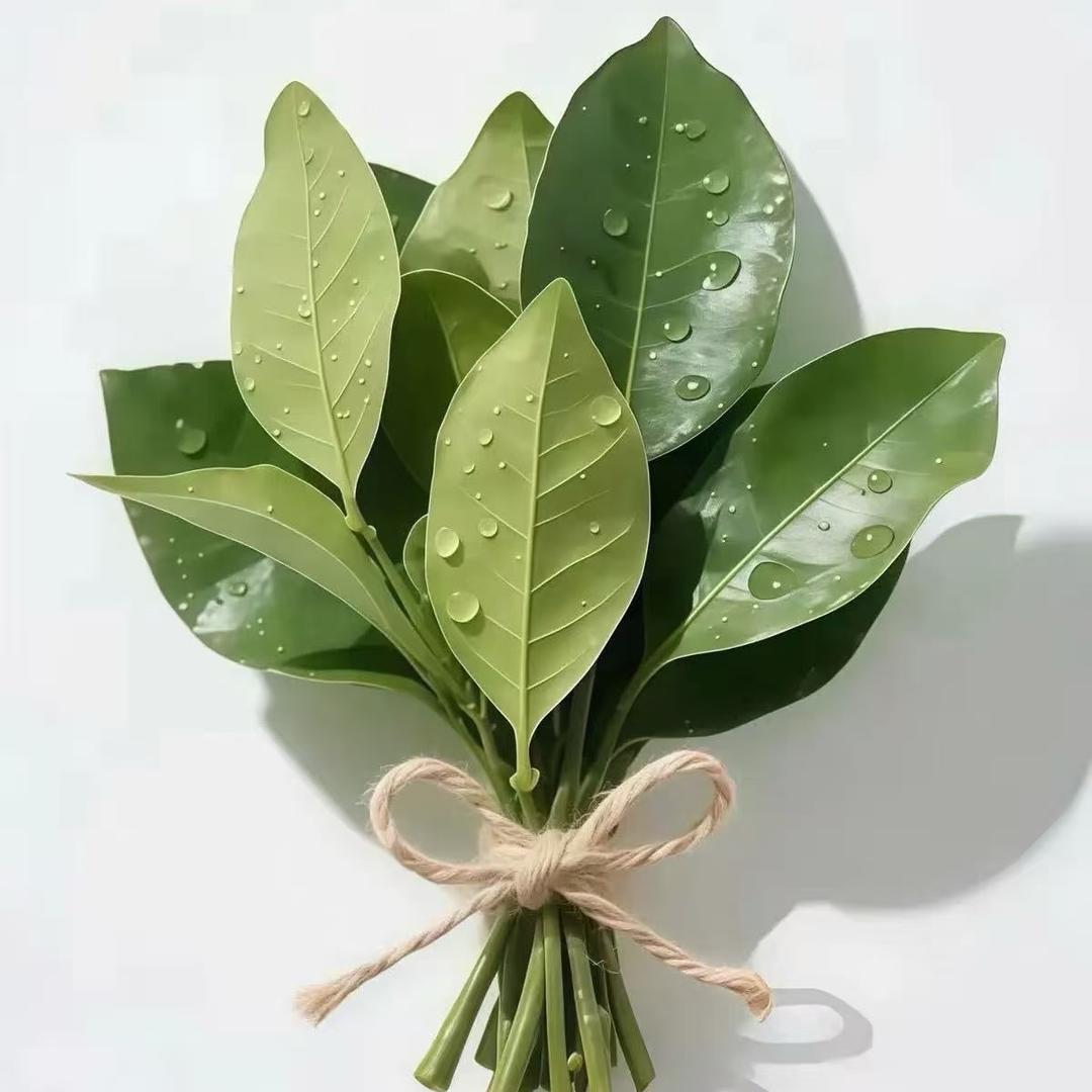 柚子叶