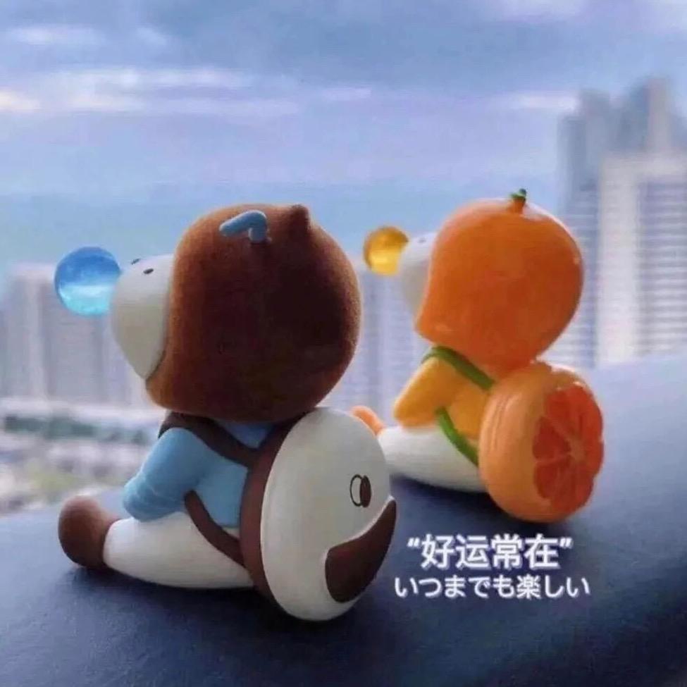 石头宝贝成长记