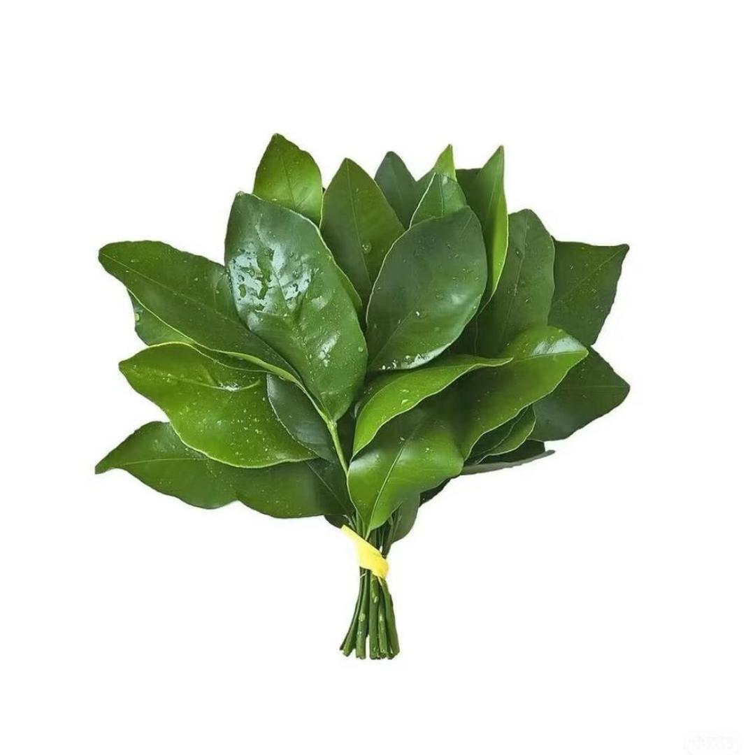 用户咩咩