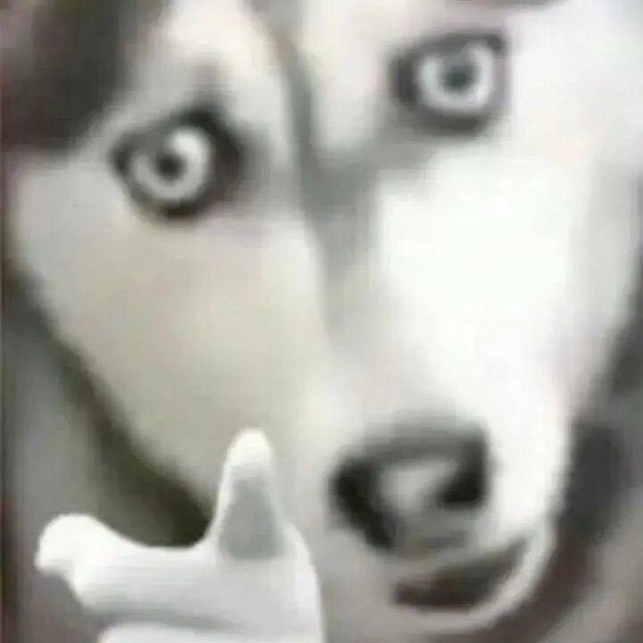 超人也爱萌
