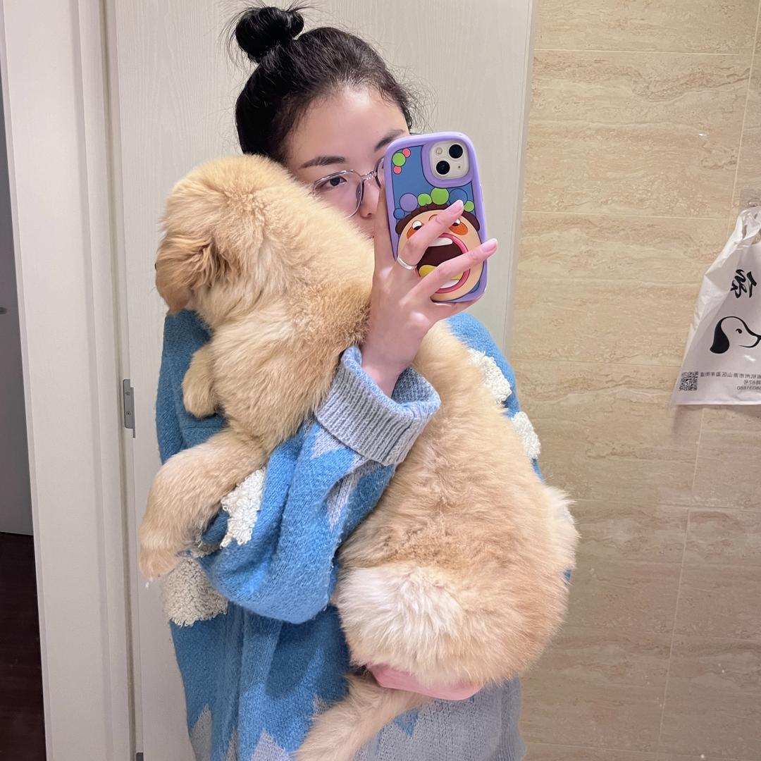 小杨苏西