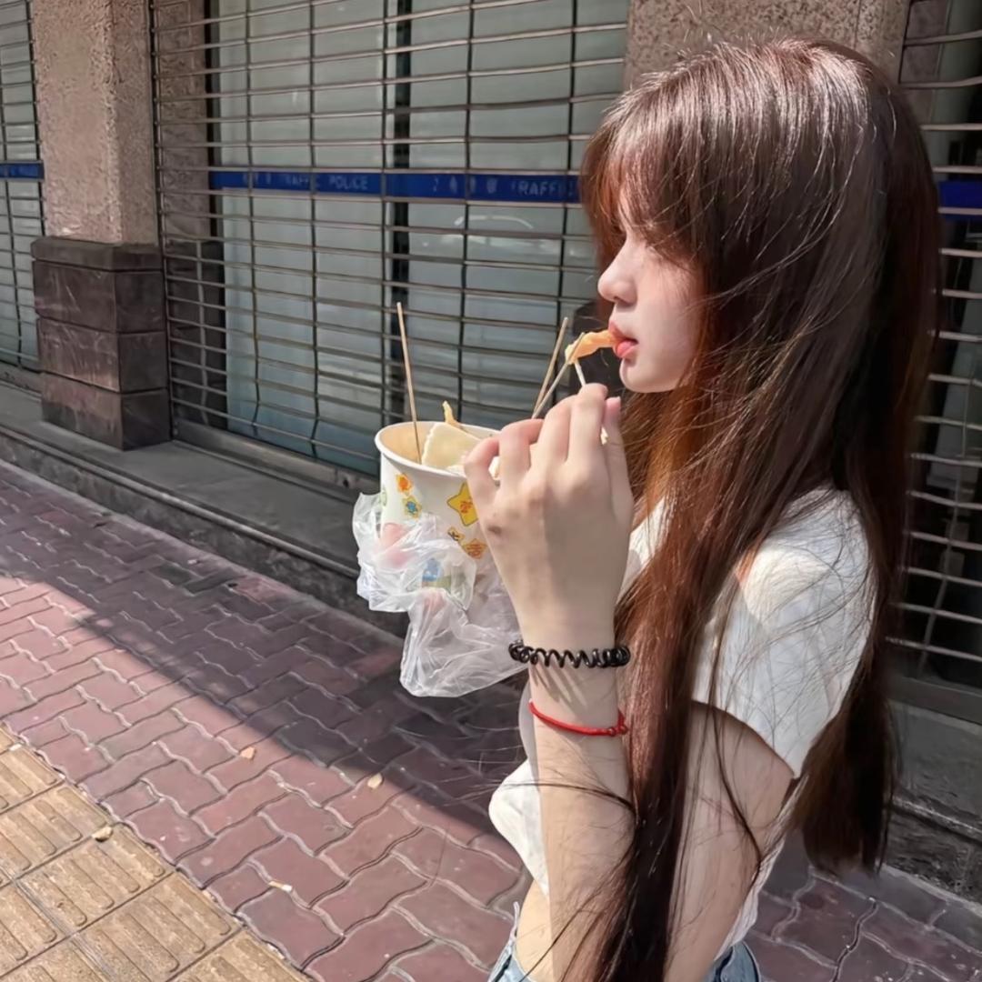 懒 猫