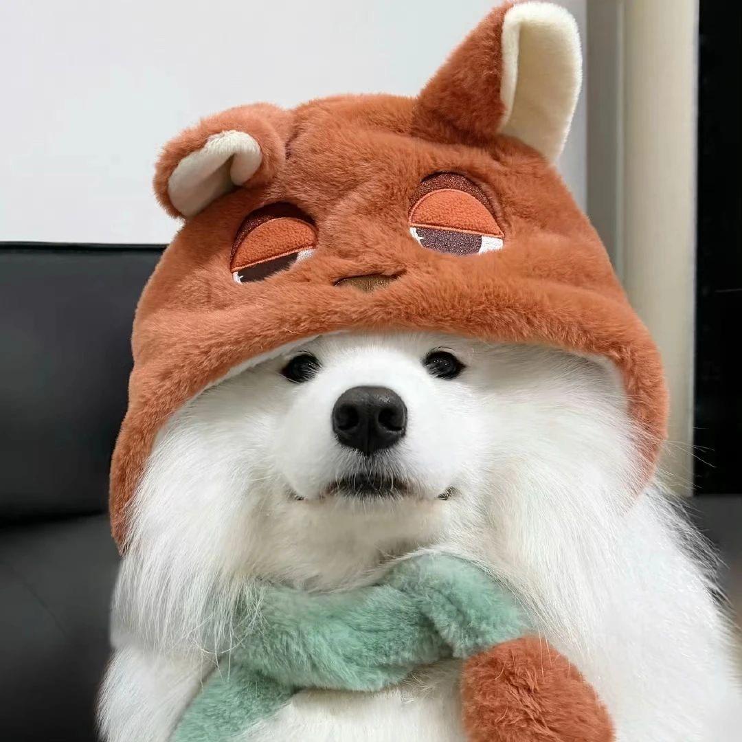 讨厌香菜💤💤