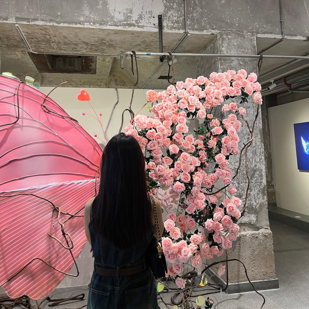 帆帆💃