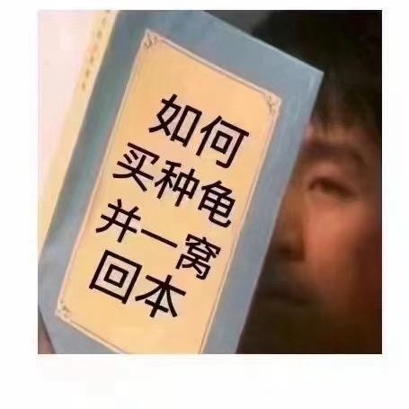 华仔 佛鳄养殖基地