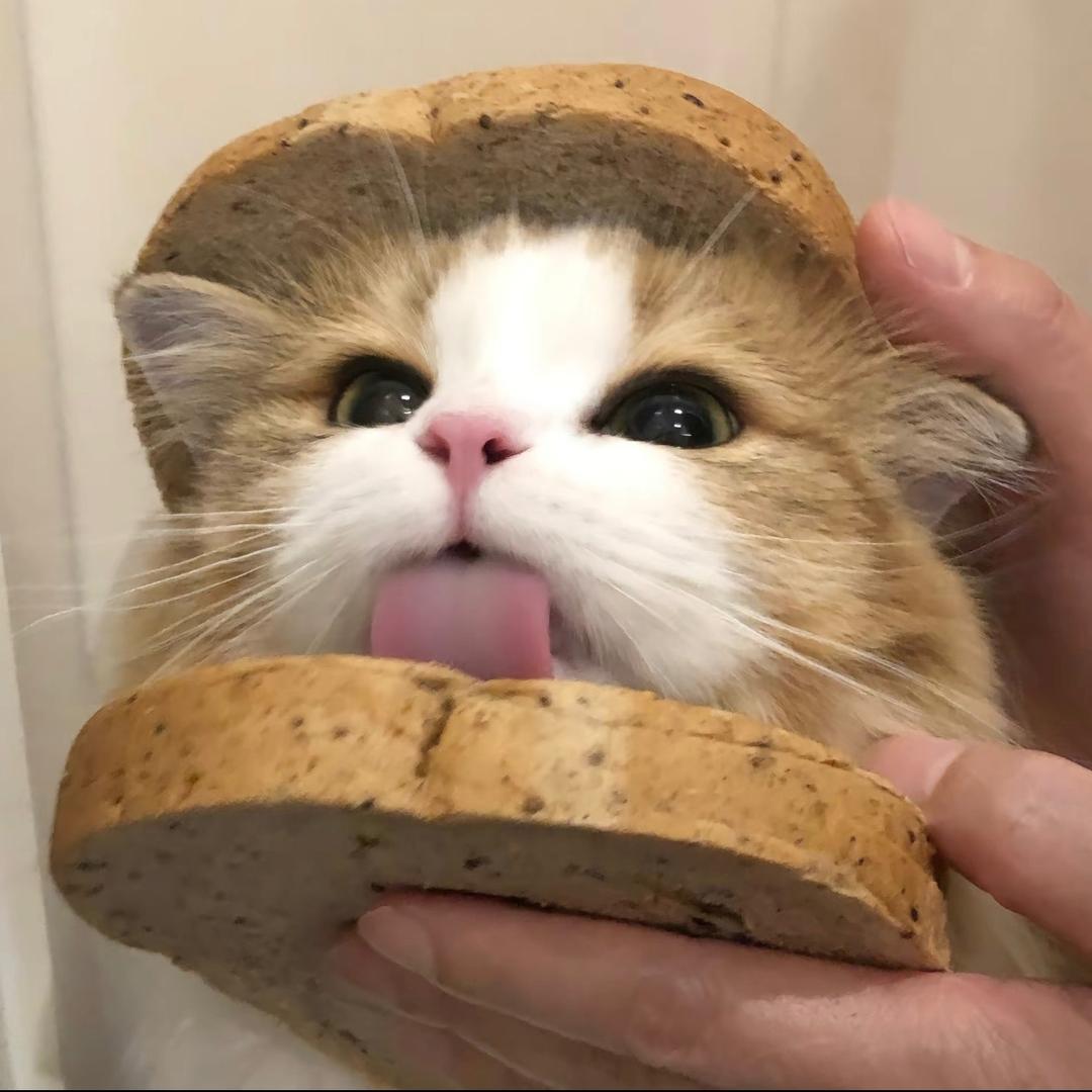 可爱必杀技