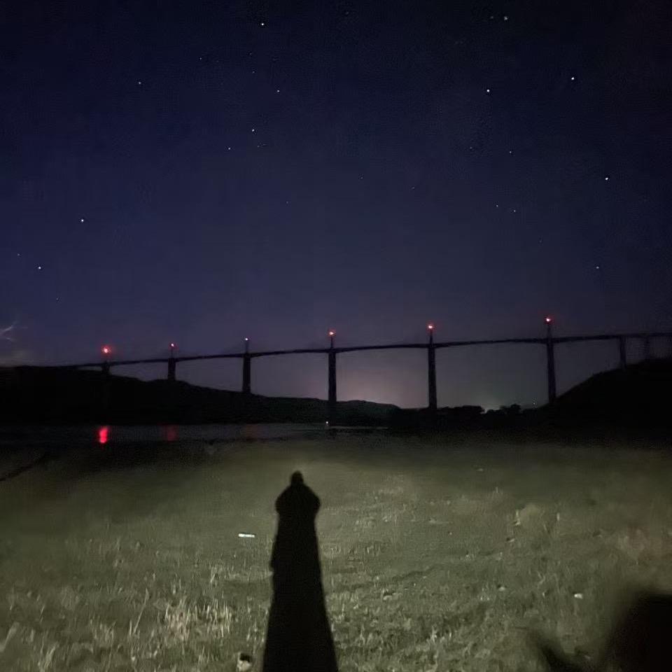 洋z