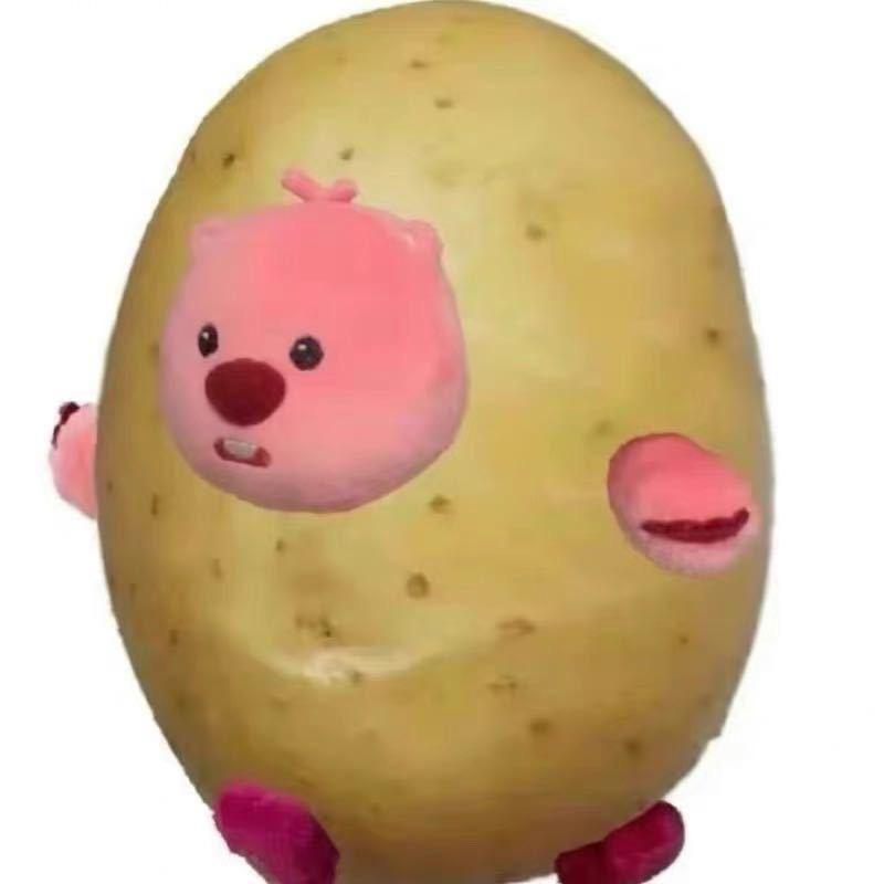 Urlg_