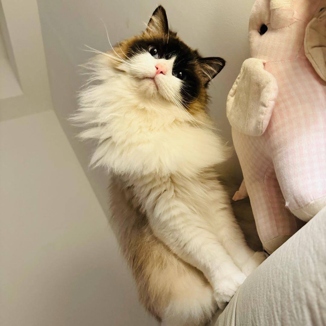 海南不知名民宿