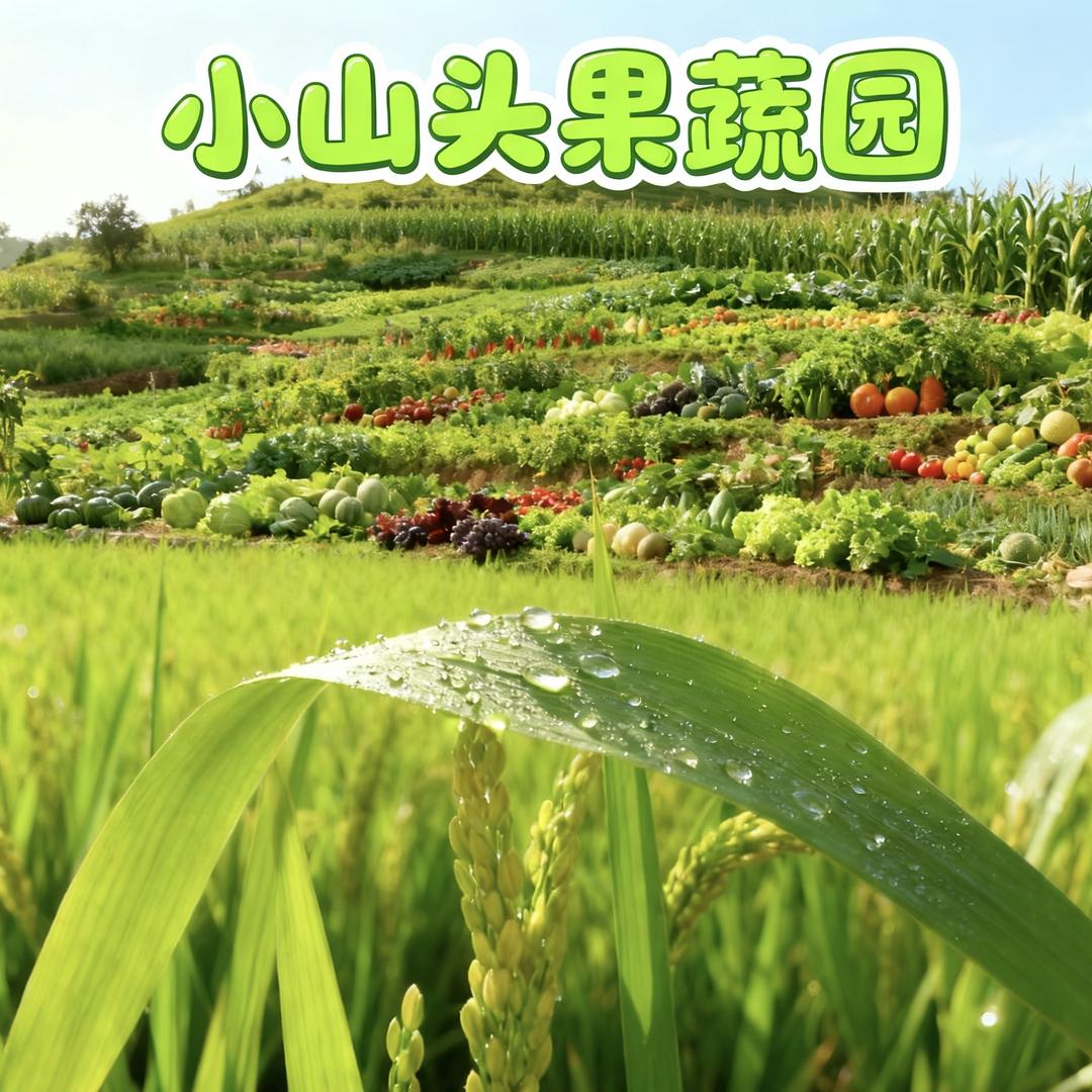 小山头果蔬园