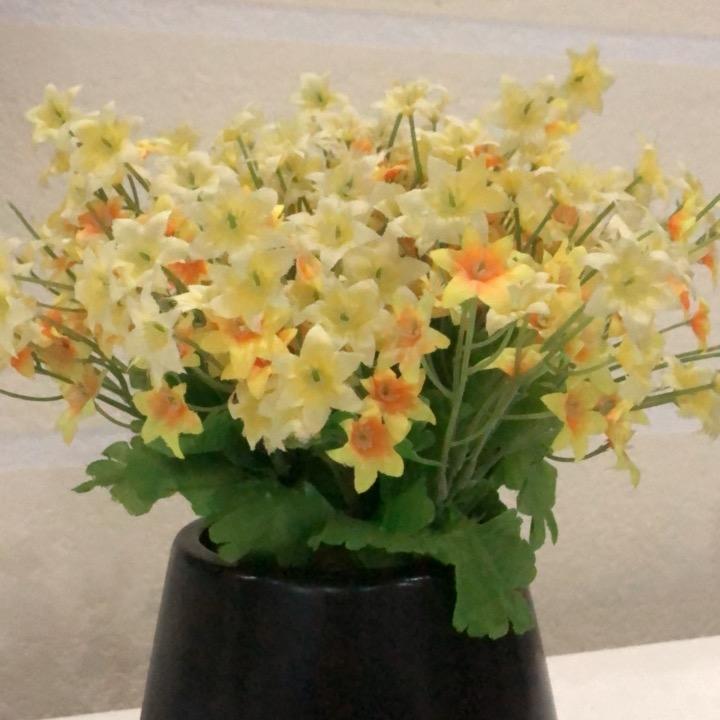 一叶芳
