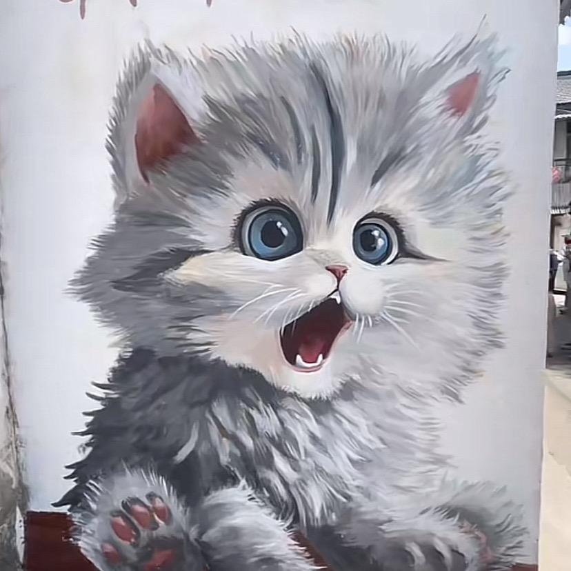 聪哥