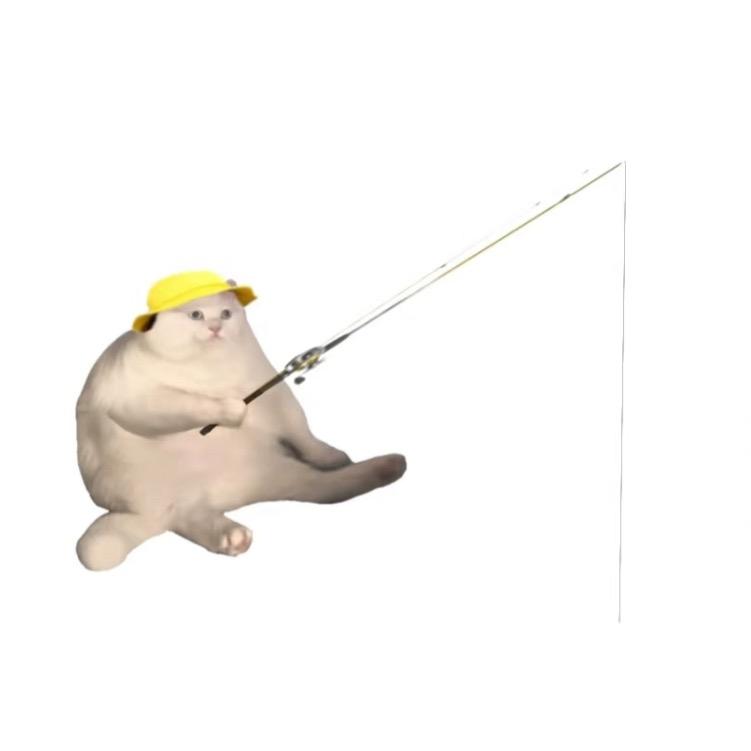 变成母蟑螂在雨夜出走的那个晚上