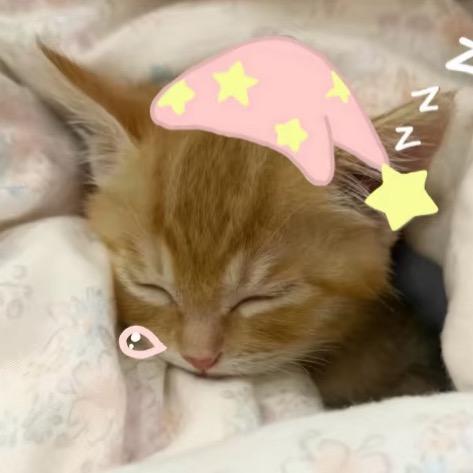 Kitty馨.