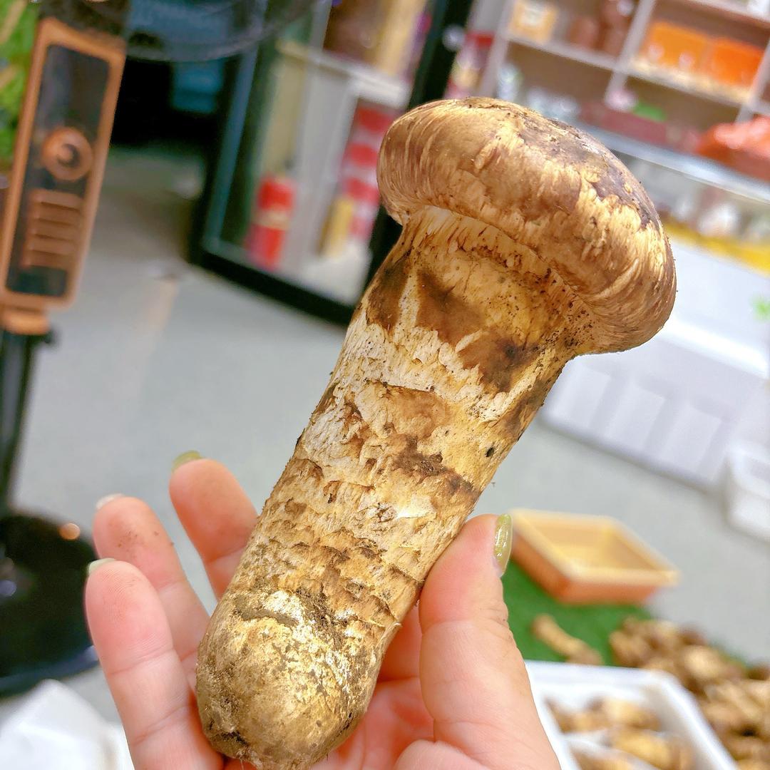 长白山松茸 小王