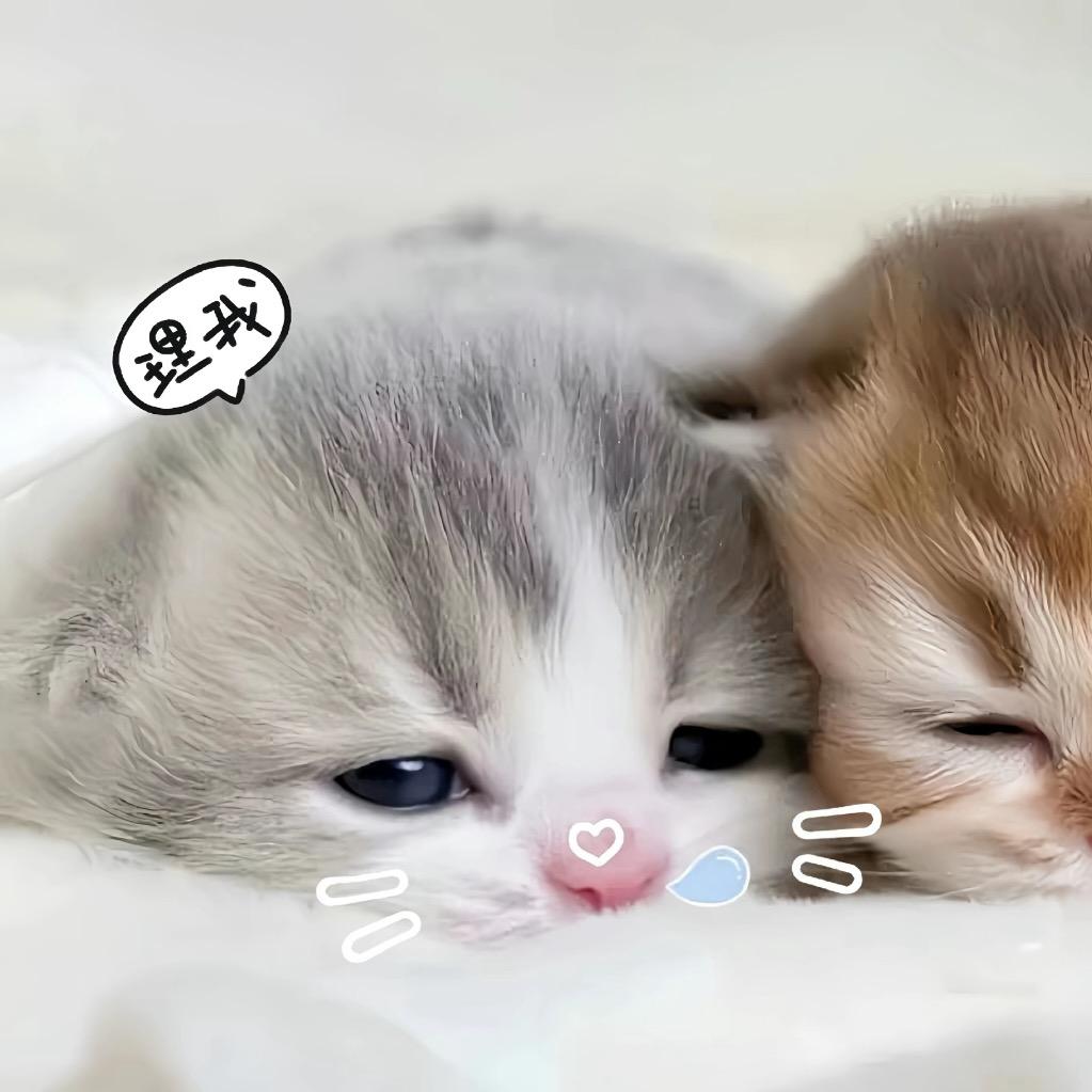我老公很萌