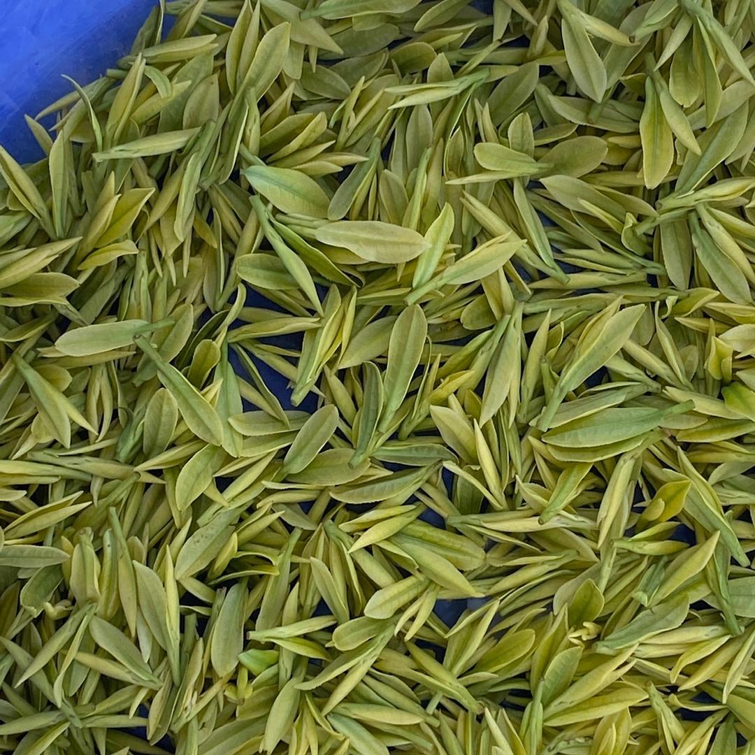 雅安特种茶叶贩子