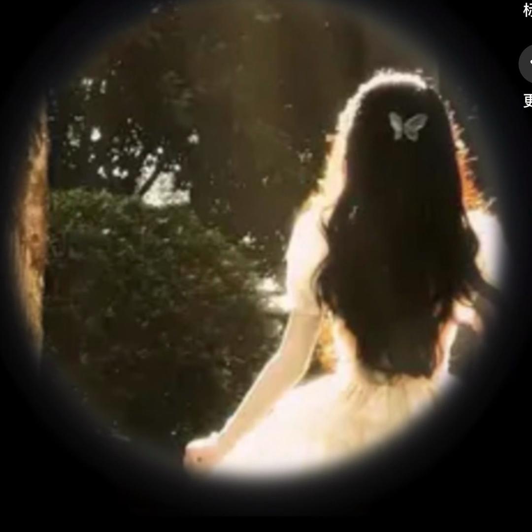 清晨的玫瑰 💕