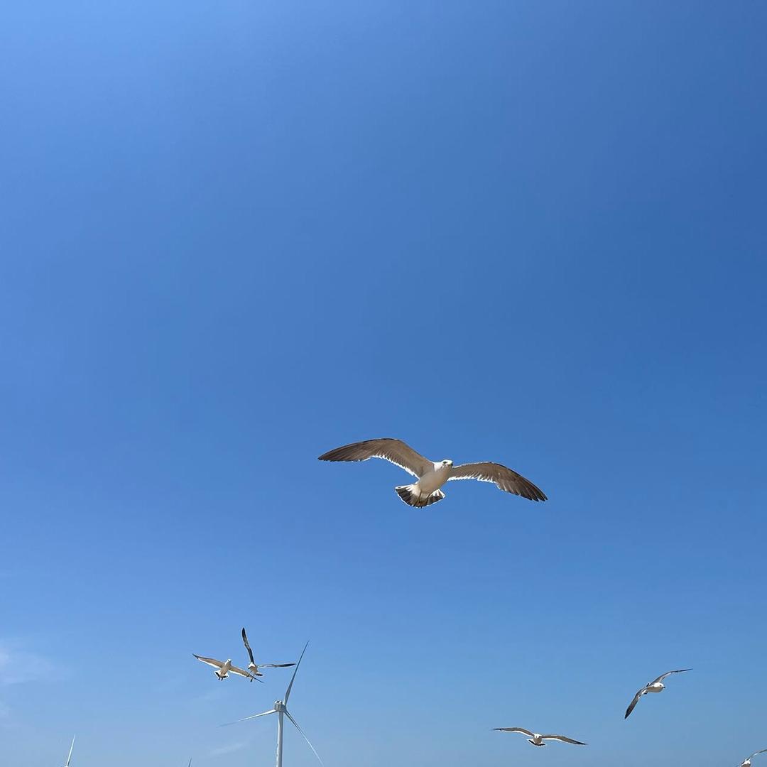 星空万里