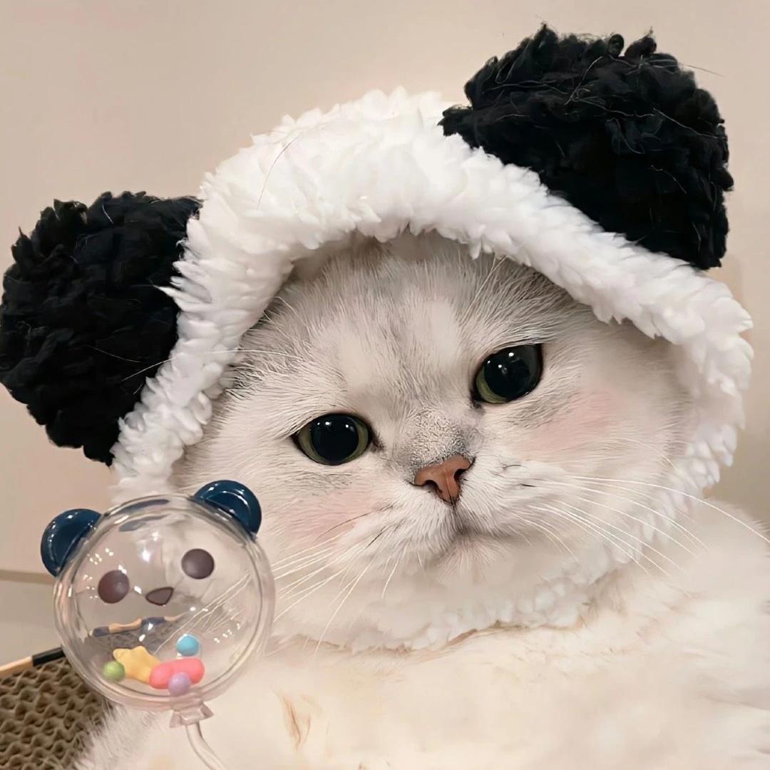 小美姐姐🧚‍♀️