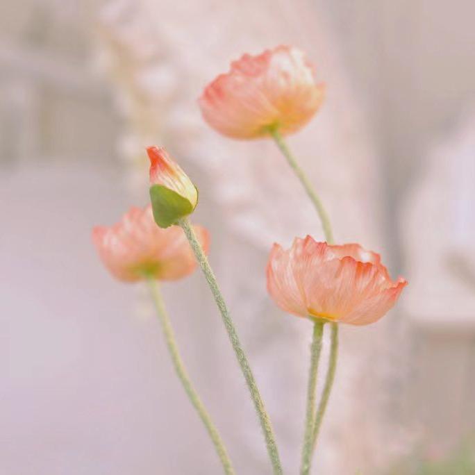 鸿运当头金元宝