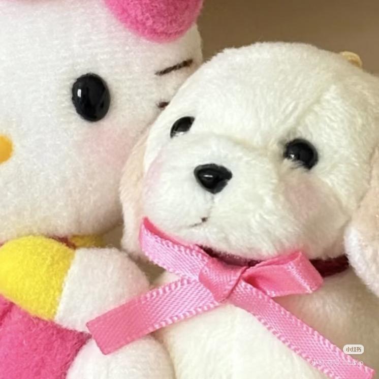 我要吃鱼鱼
