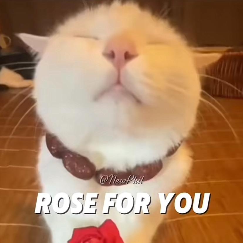 kooc_kooc