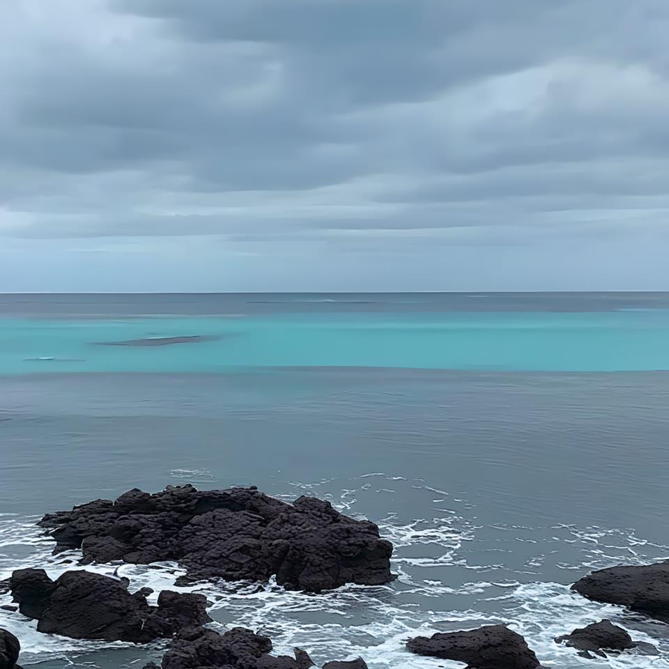 鄢鹏专属双先振汽车铺子