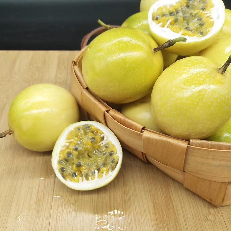 肇庆笋围围仔农场