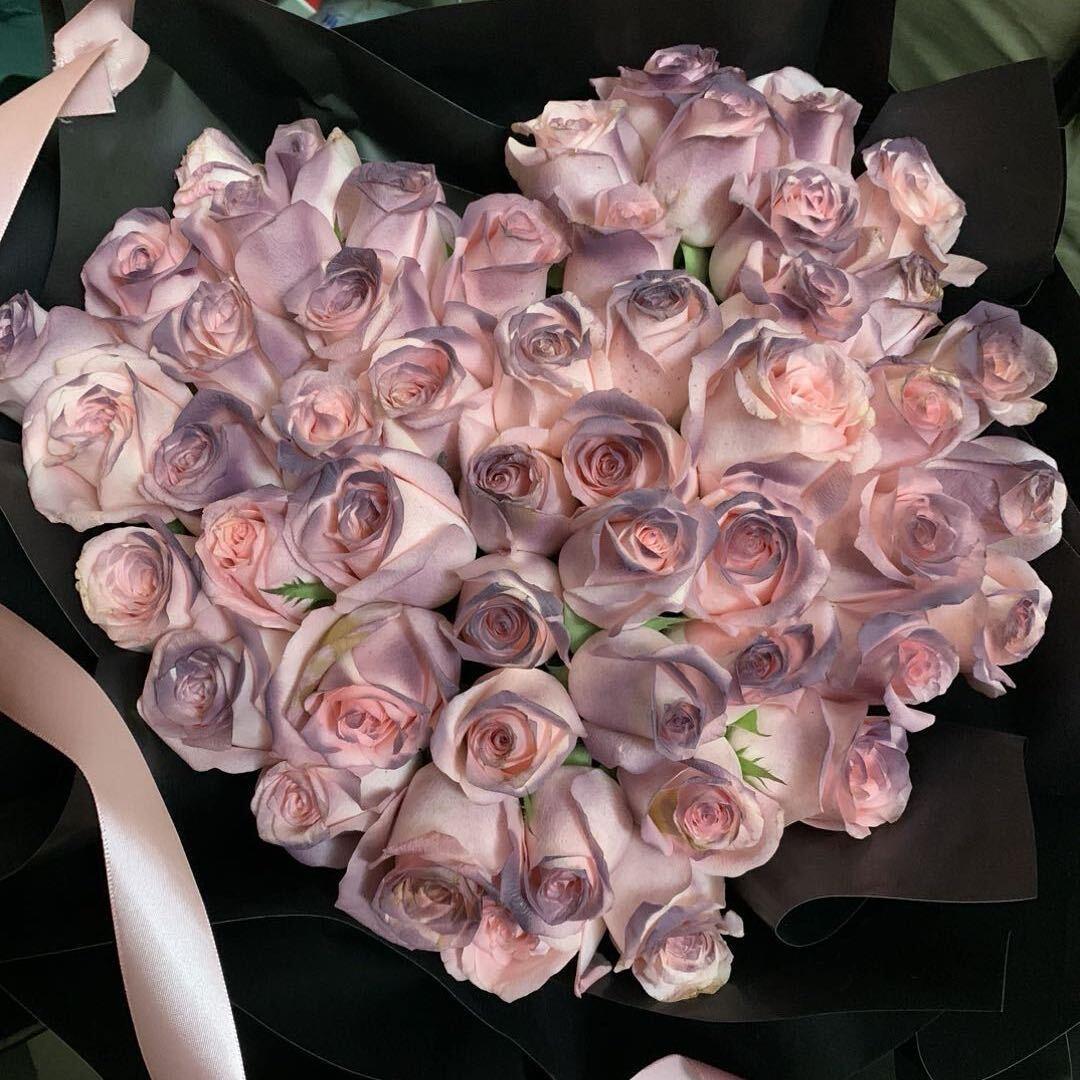 💞 寶可夢吖💞