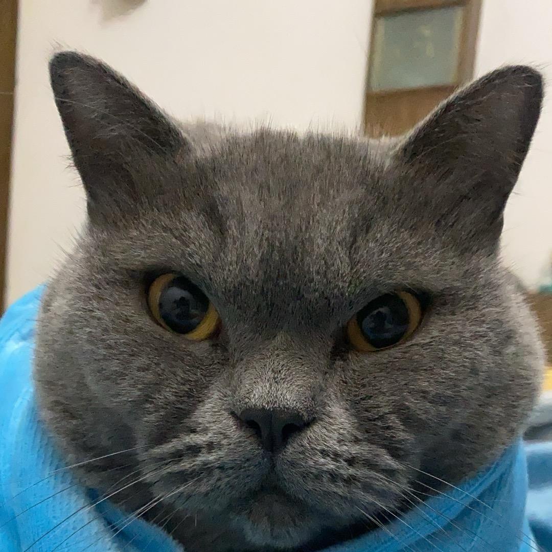 哆啦啦啦啦啦