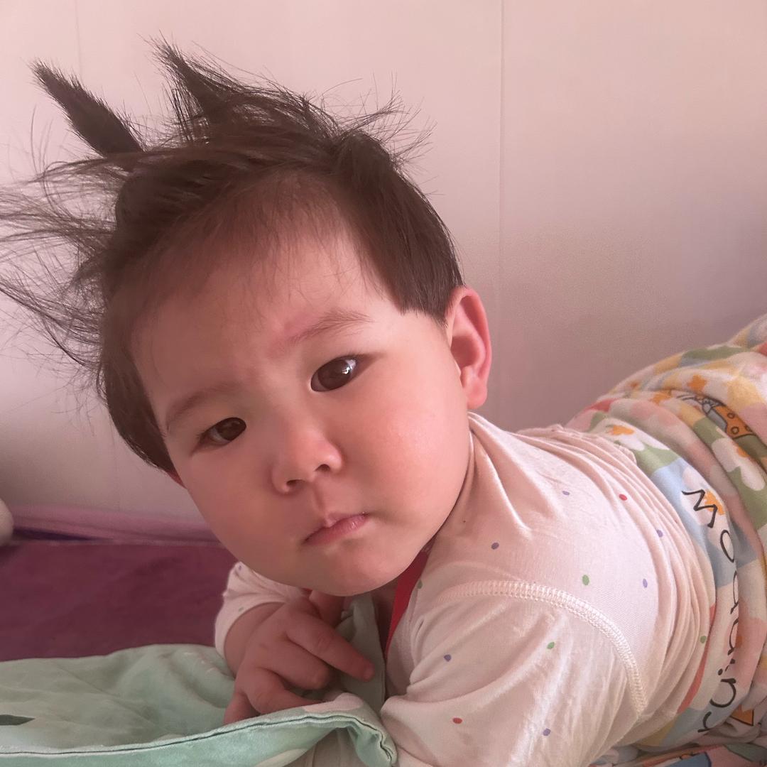 年轻人你太耿直