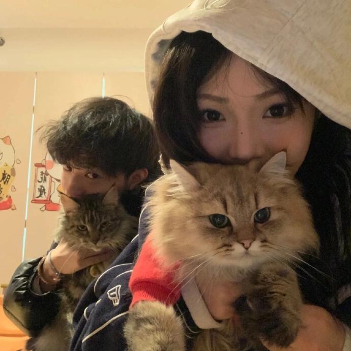程序员Ava