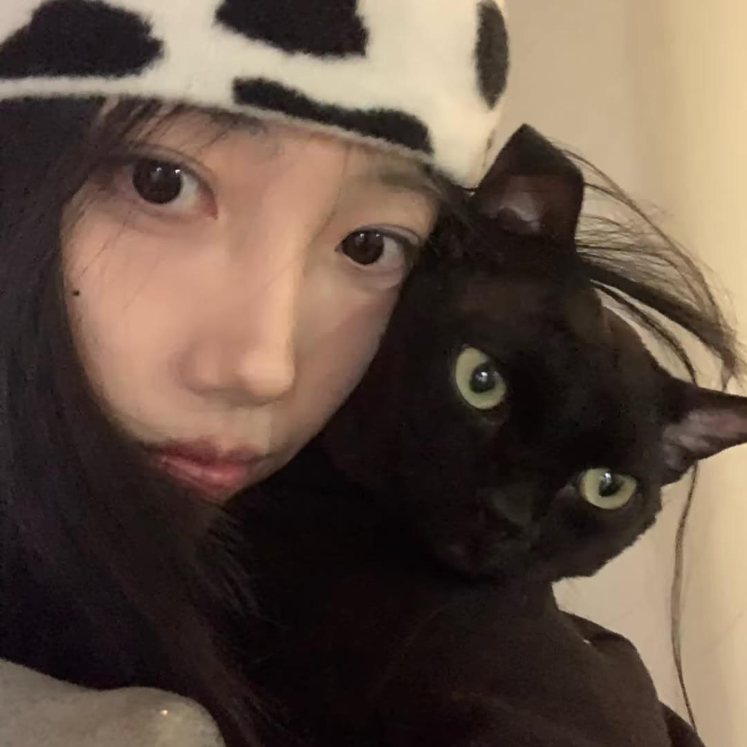 7🐾