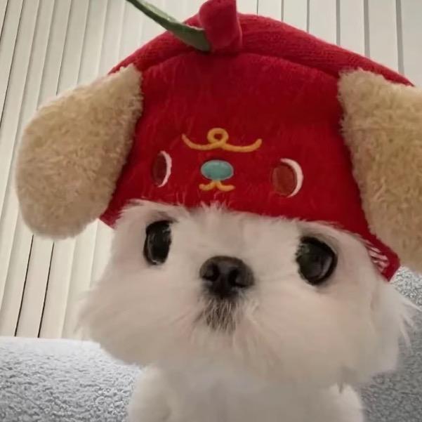 年代秀鞋帽