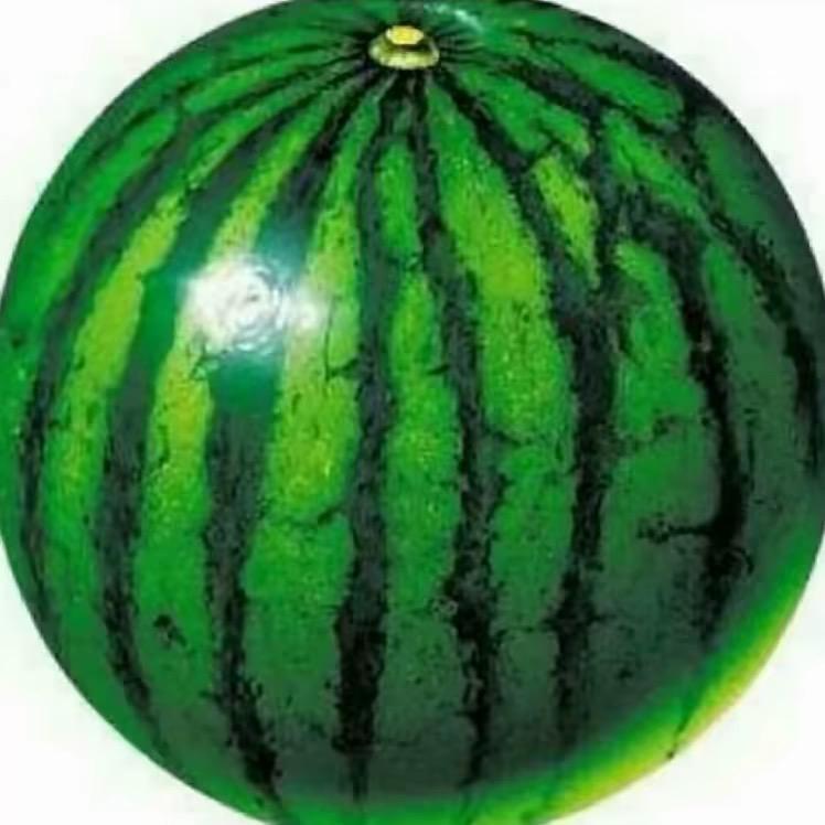 大贝塔
