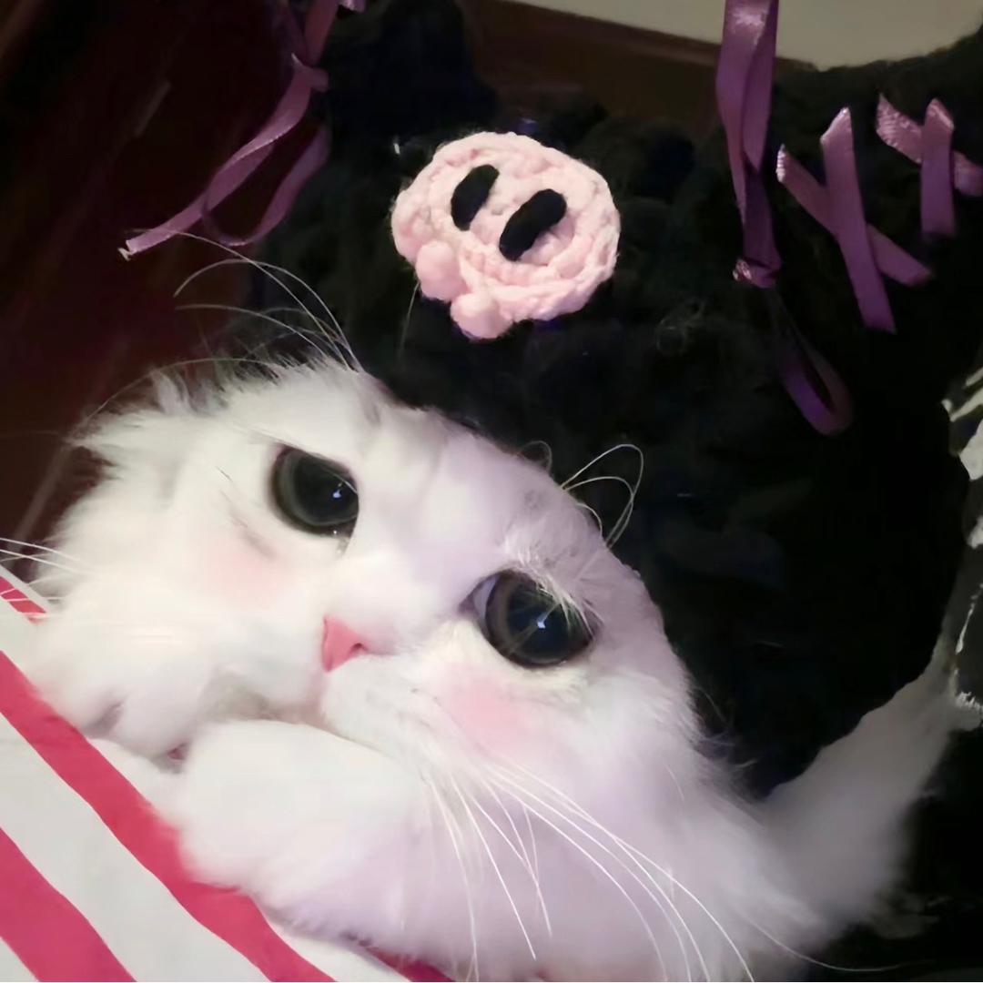 宅宅衣橱