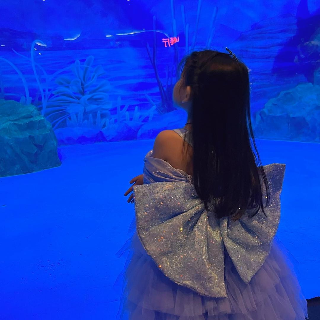 花开富贵🌸 🌸