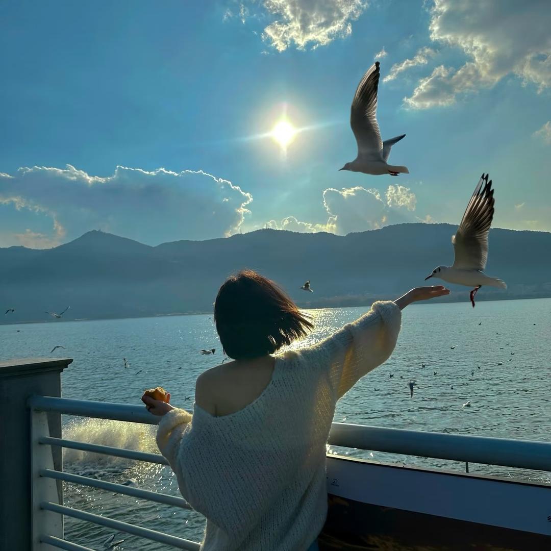 🛩🍀半颗糖🍬