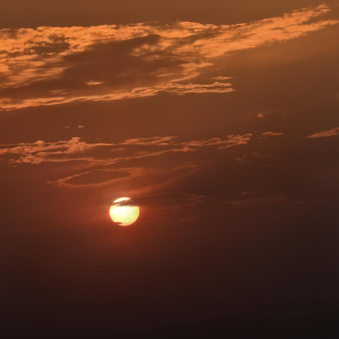 一钓红尘（卖鱼佬）