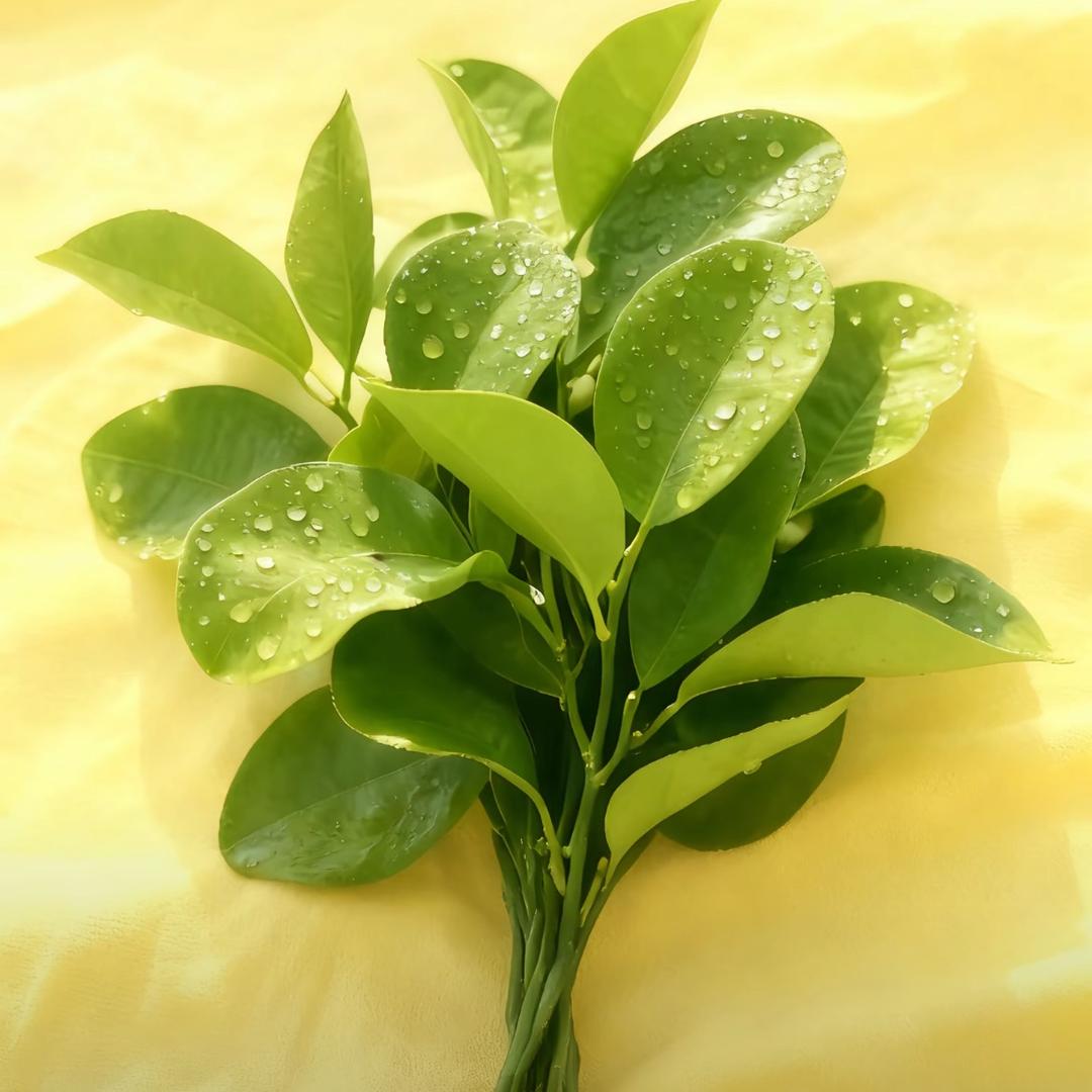 屁大点事分享家