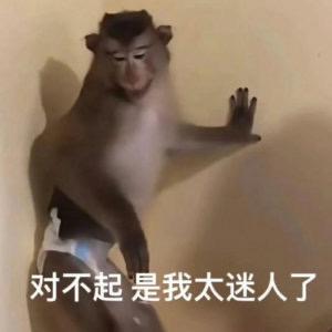 迷人啊惠