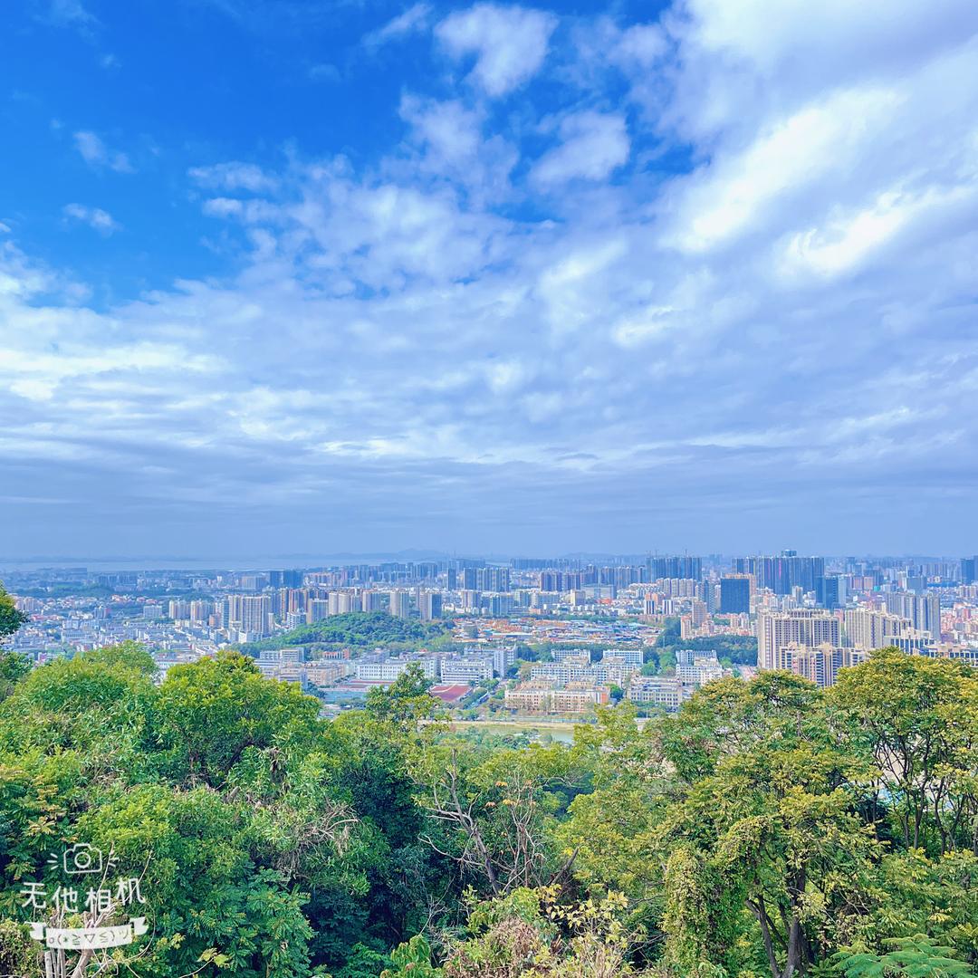 闲庭信步