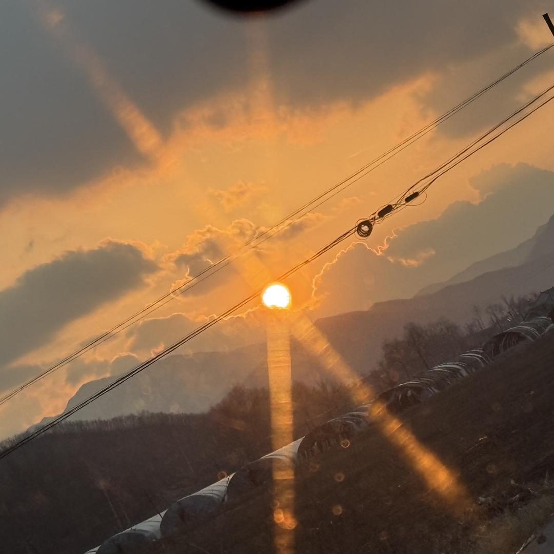 东青进口食品坊