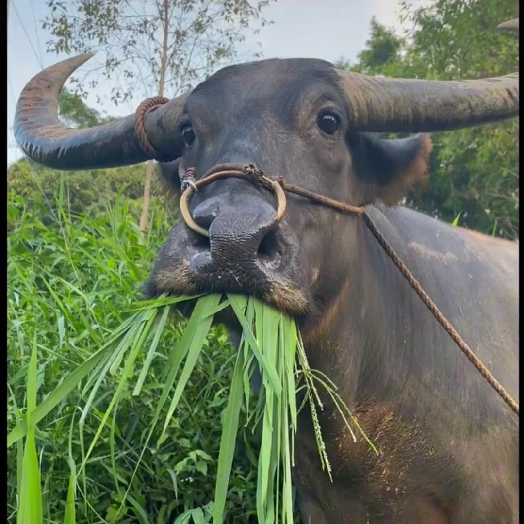 成都老房屋顶改造