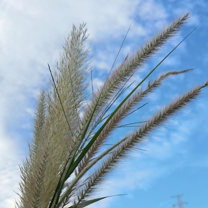 @小酒窝