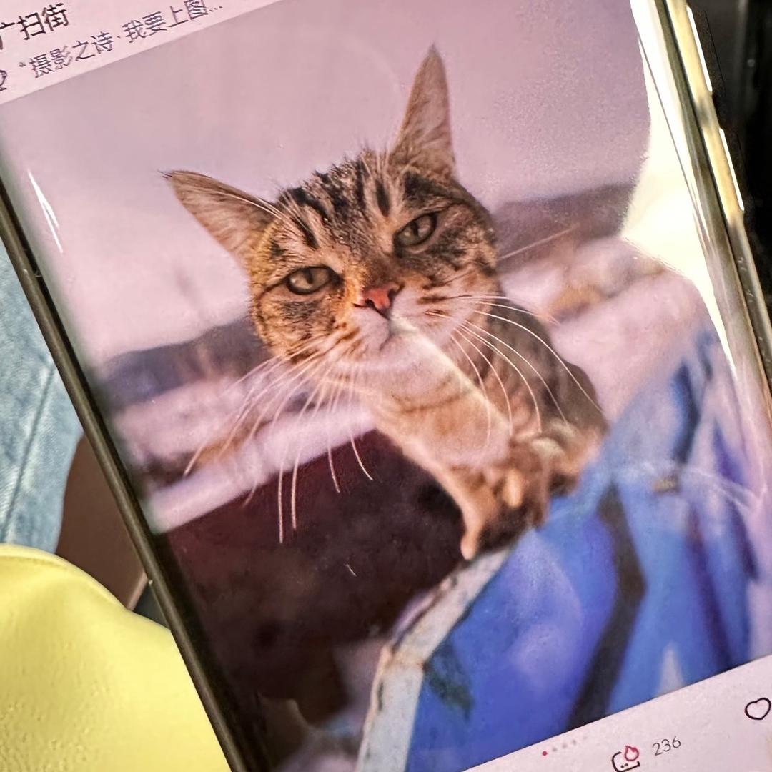 不听.