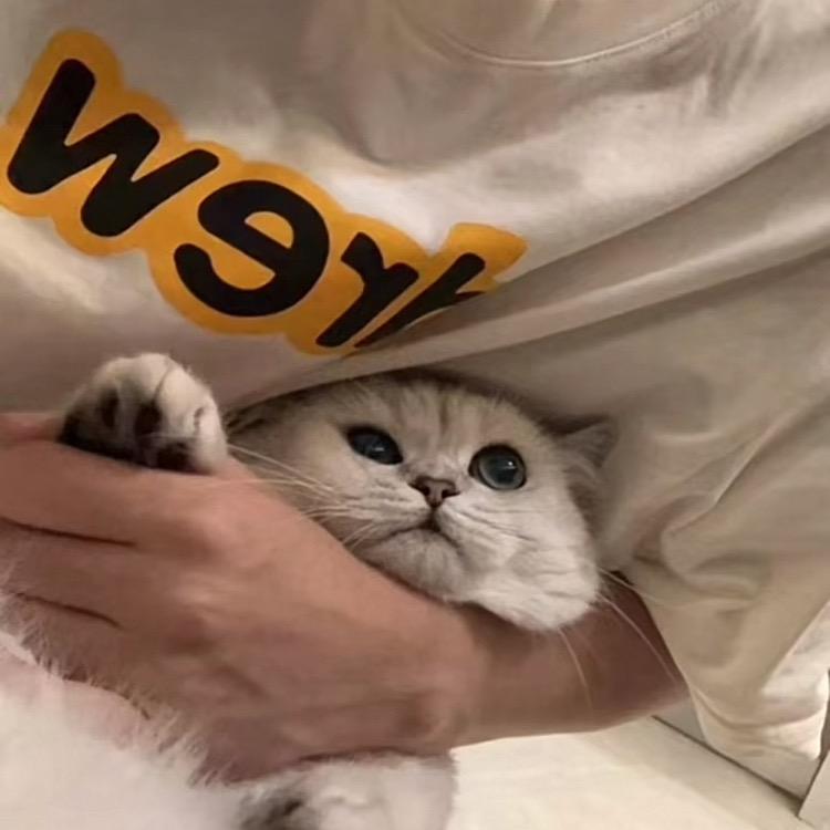 李嘉图