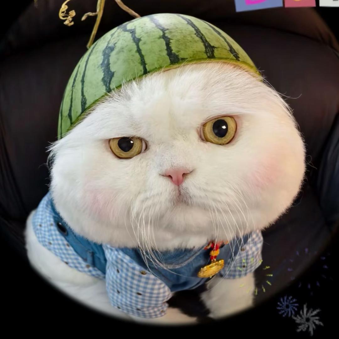 小郝不好骗